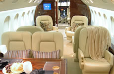 Falcon interior